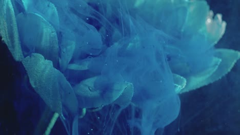 explosión de color de la flor azul humo pétalos de movimiento