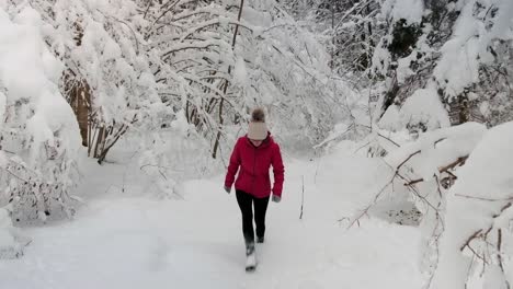 Zelenci-Brota-En-Un-Día-De-Invierno-Muy-Frío