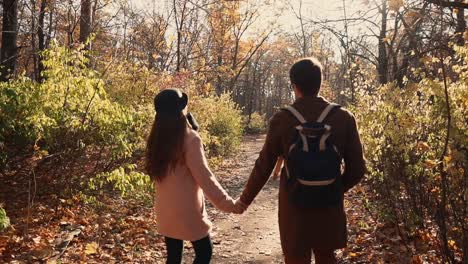 couple walking hand-in-hand in autumn park