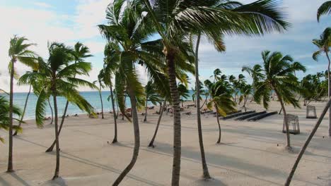 Tropical-beach-with-palm-trees,-turquoise-water-and-people-on-sunchairs,-nobody,-tranquil-seascape-in-Caribbean-Sea,-exotic-lifestyle-in-Dominican-Republic