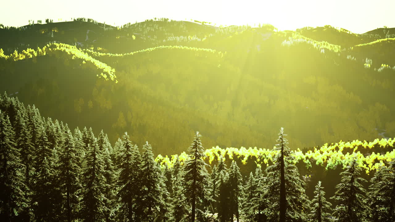 빛 은 가을 에 숲 이 인 산지 에 황금색 의 색조 를 뿌린다