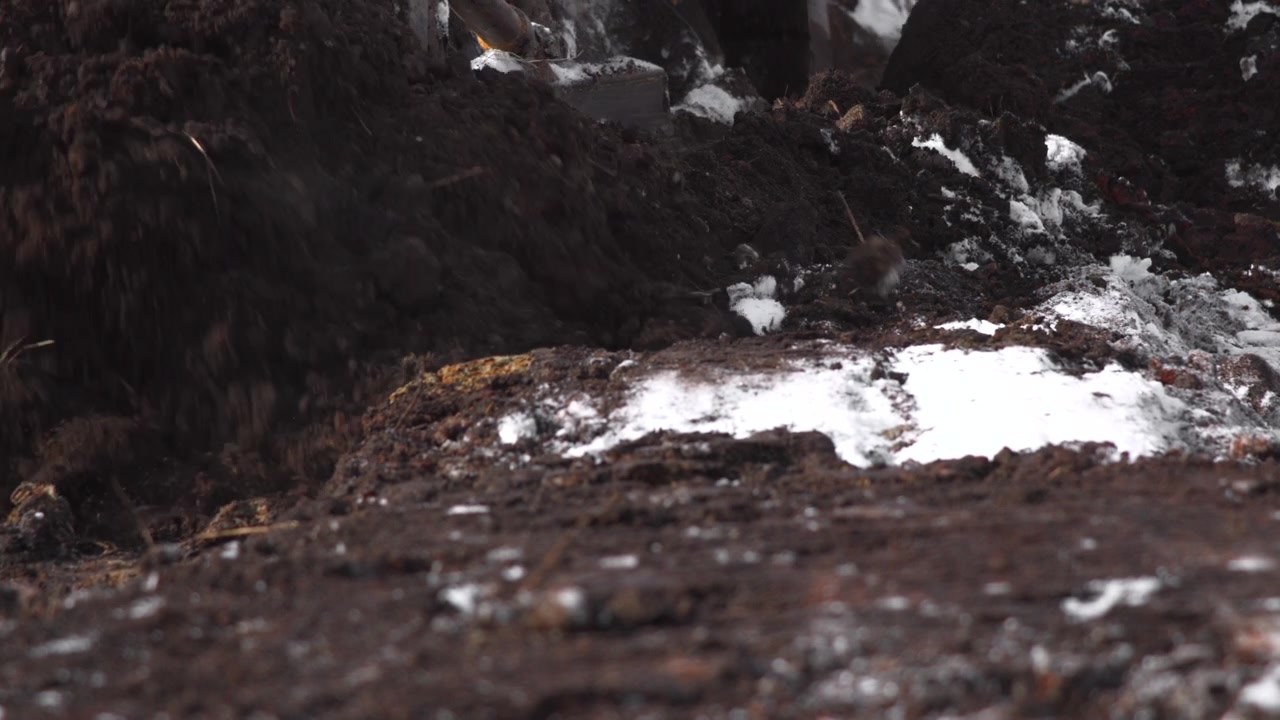 Un primo piano del terreno innevato in un ambiente esterno sereno, che mette in risalto il freddo paesaggio invernale con tonalità bianche e marroni sotto la luce naturale, possibilmente in una foresta o in una zona montuosa.