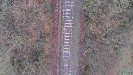 abandoned railroad in the middle of a forest