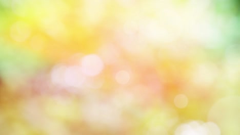 Abstract autumn background with bokeh