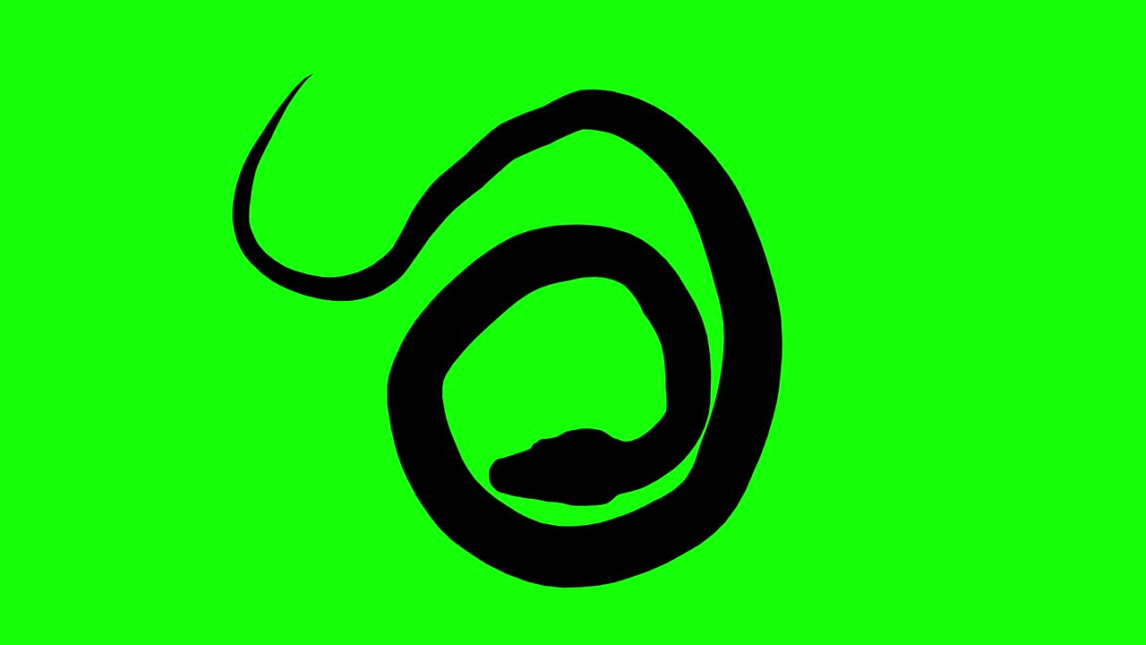 Silhouette di un serpente immobile, su schermo verde, vista dall'alto