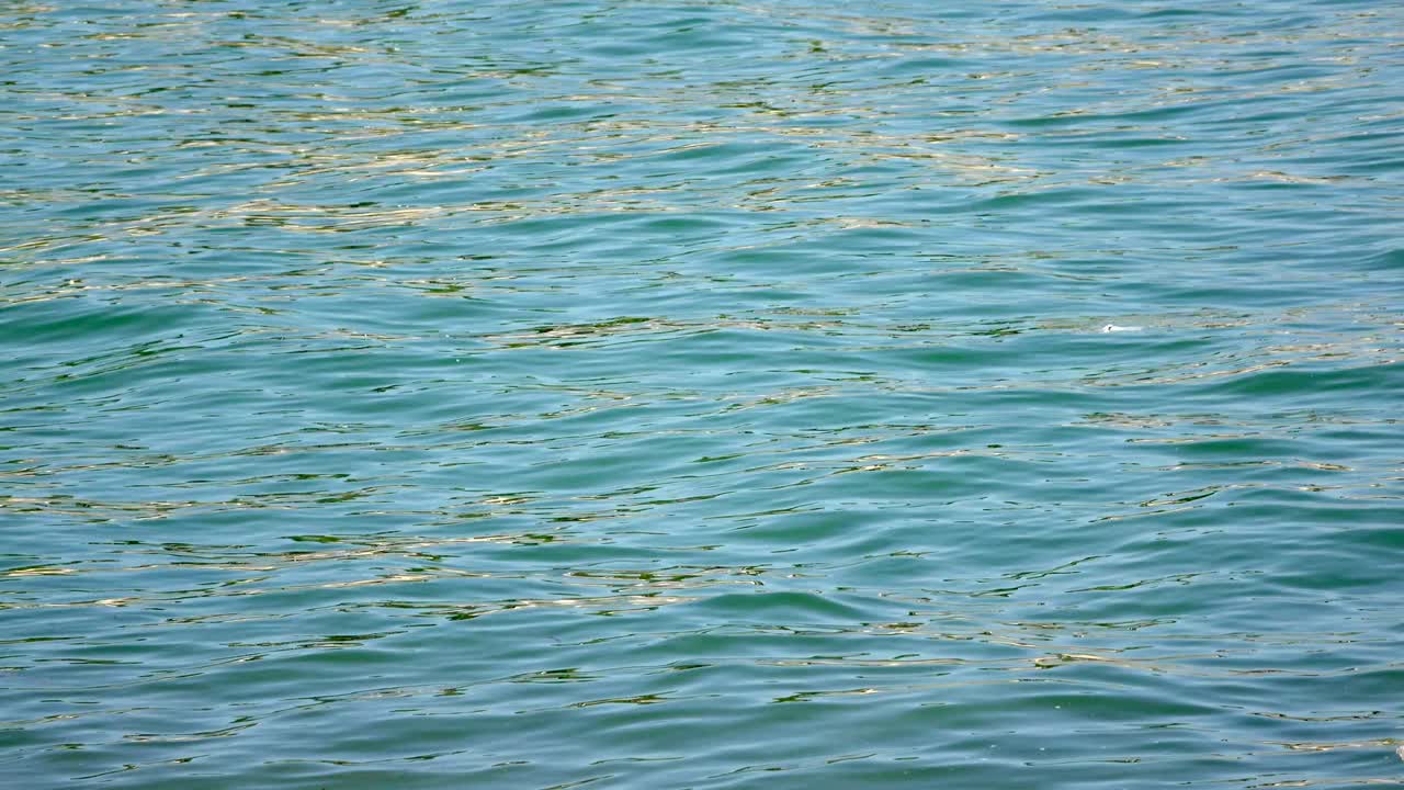 따뜻한 바다의 파도는 우산과 셰이즈 라운지와 함께 열대 휴양지의 모래 해변에 달립니다.