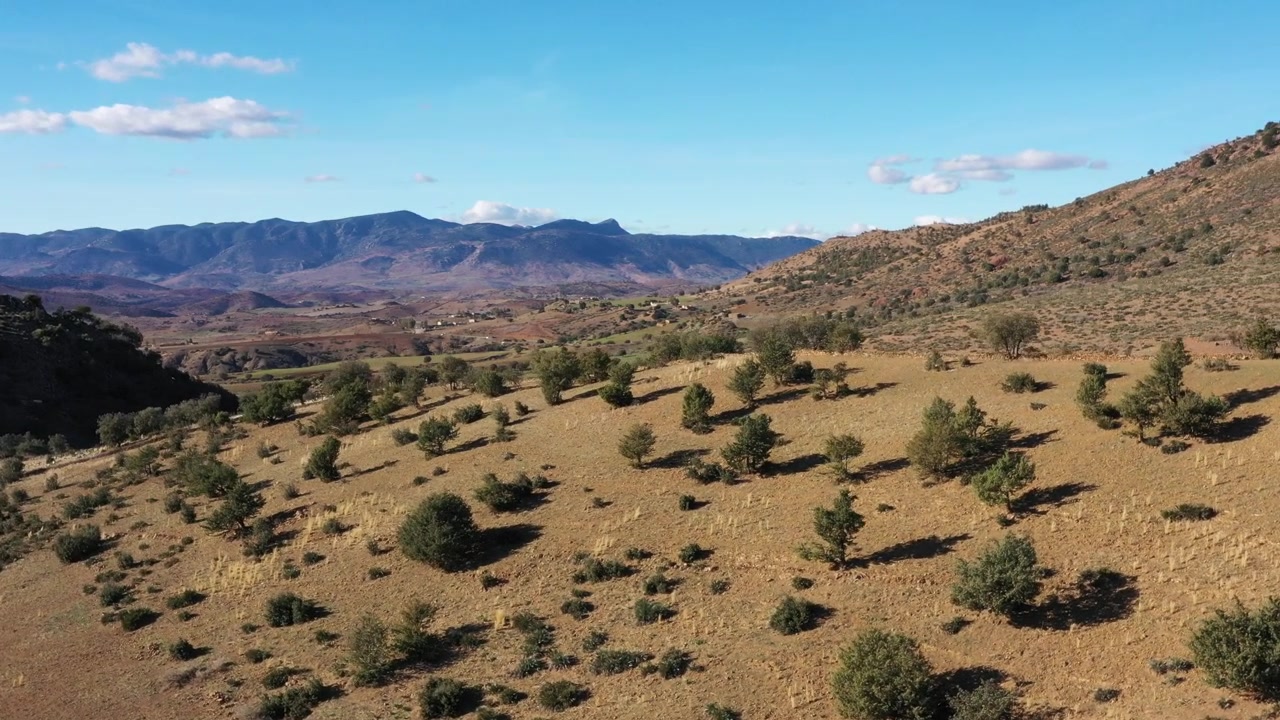Veduta aerea con drone della campagna marocchina arida con alberi sparsi, colline ondulate e catena montuosa sotto un cielo azzurro limpido. Paesaggio naturale cinematografico ideale per progetti di viaggio e documentari