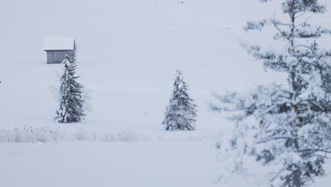 Majestuoso-Paisaje-Invernal-En-Medio-De-Los-Picos