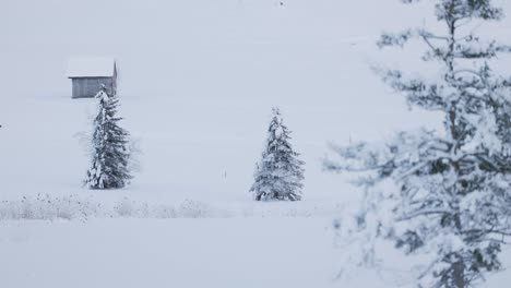 majestic winter landscape amidst the peaks