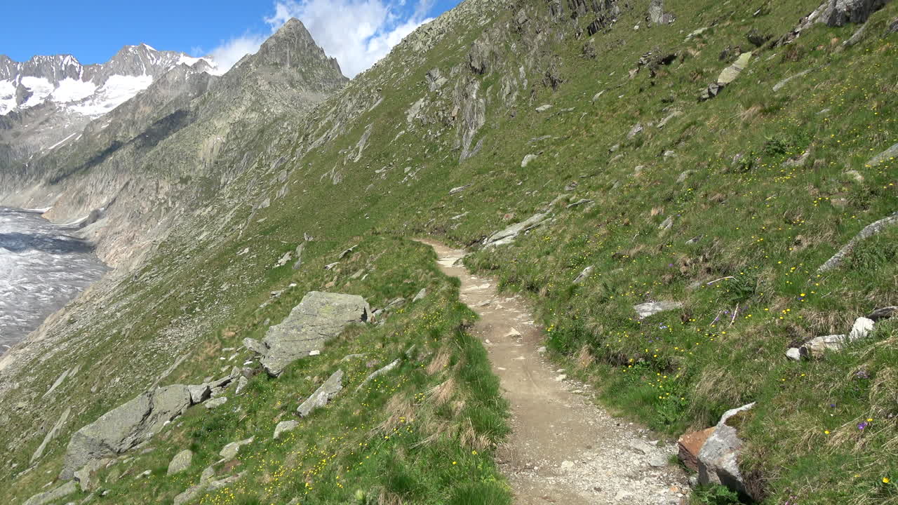 Scenic hiking path on a steep alpine hillside overlooking the Aletsch Glacier, with rocky peaks and summer grassland in the Bernese Alps, Switzerland