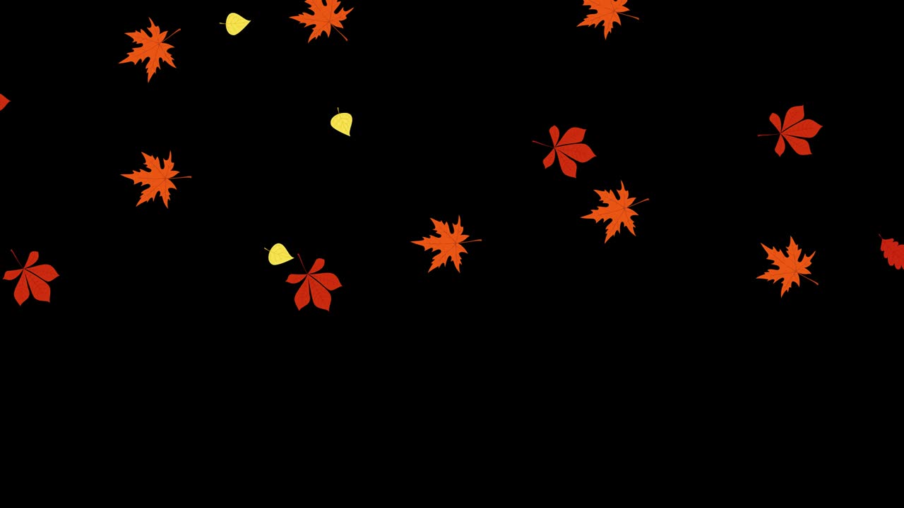 4K Animation of autumn leaves falling effect on transparent background.