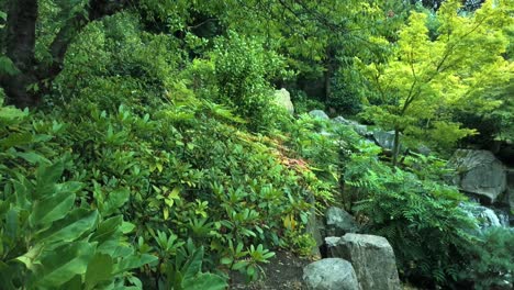 vibrant japanese garden in slow motion