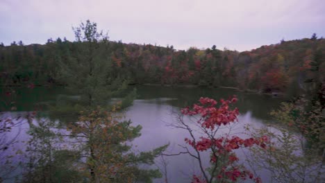 Langsamer-Schwenk-Nach-Rechts-über-Einen-See-Mit-Blick-Auf-Eine-Promenade-Mit-Vielen-Herbstlich-Gefärbten-Bäumen-Auf-Beiden-Seiten-Des-Hügels