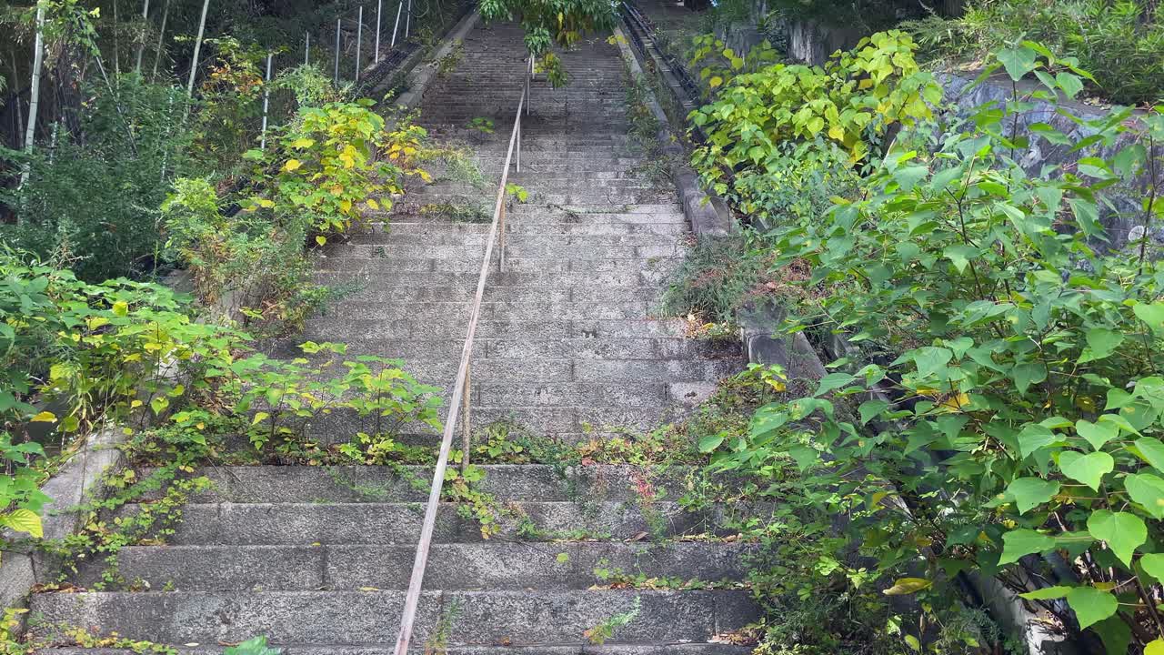 Long abandoned concrete staircase is being overgrown with vegetation