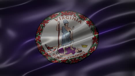 the state flag and seal of virginia, font view, full frame, sleek, glossy, fluttering, elegant silky texture, waving in the wind, realistic 4k cg animation, movie-like look, seamless loop-able