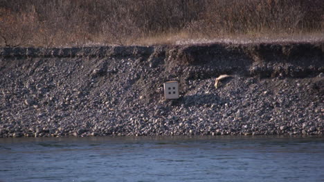 a-slow-motion-shot-of-shooting-a-target