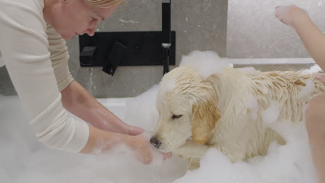 woman giving a dog a bath