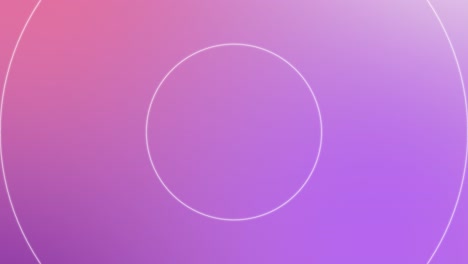 pastel lilac animated background