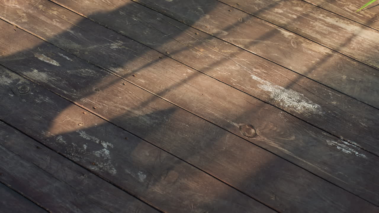 Sunlit Wooden Deck With Dog Shadow, Worn Planks And Fence Bars Casting Striped Silhouettes, Warm Late Afternoon Light, Subtle Motion Suggesting Playful Or Restless Pet, Rustic Texture And Small Paint