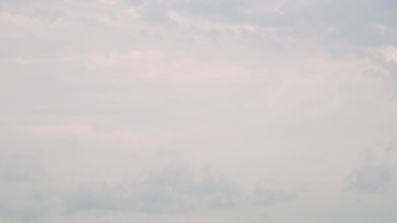 잡초가 무성한 방치된 땅