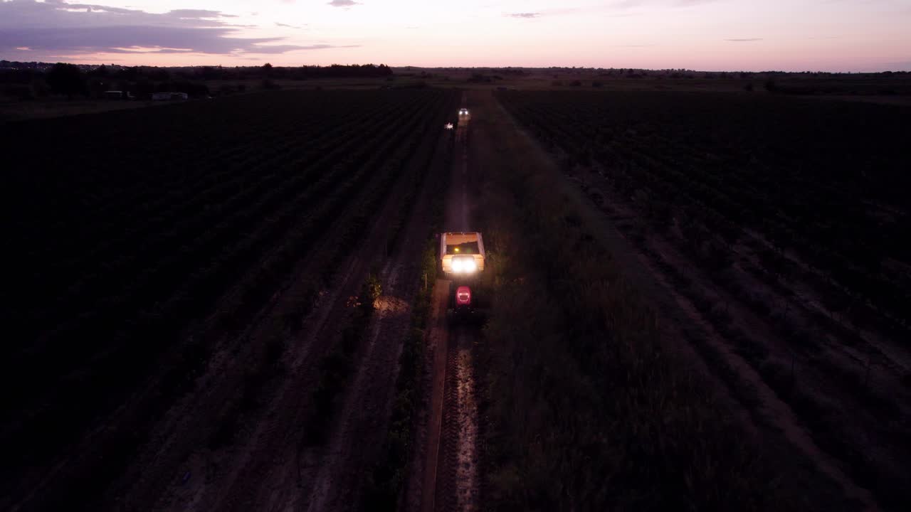 Tractor driving in the early morning darkness in between the fields
