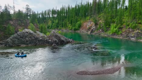 Sparren-Entlang-Der-Stromschnellen-Am-Flathead-River-In-Der-Nähe-Des-Glacier-National-Park-In-Montana,-USA