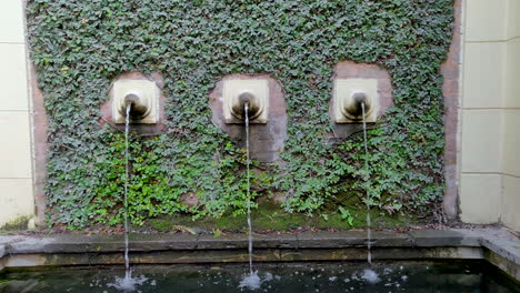 outdoor fountains with green wall and water flowing in the park