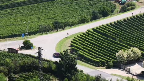 red car driving past vineyard and house