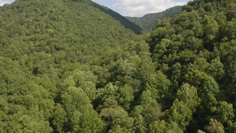 Pan-up-drone-aerial-view-of-green-lush-mountains-on-a-picturesque-afternoon