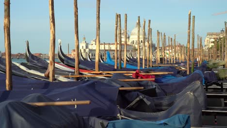 Schwimmende-Gondeln,-Die-In-Den-Frühen-Morgenstunden-An-Holzmasten-In-Venedig-Festgeschnallt-Sind