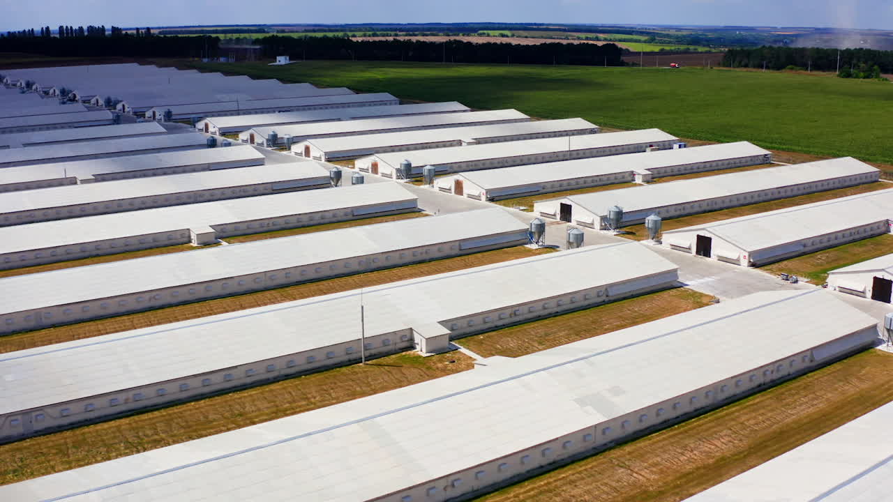 Long farm buildings on field. Flight over the modern agricultural farmhouses for livestock in the countryside in summer. Aerial view.