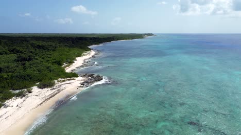 drone footage rising up over a turquoise ocean and coral reef in the caribbean with native forest and palm trees stretching along the beach into the horizon