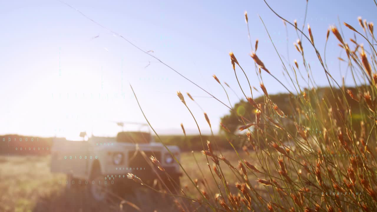 White SUV sitting still while breeze moving grasses, camera shifting focus, showing digital dots