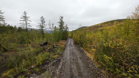 experience the serene beauty of yakutia as a drone glides over winding paths through vibrant autumn forests, showcasing nature's stunning palette