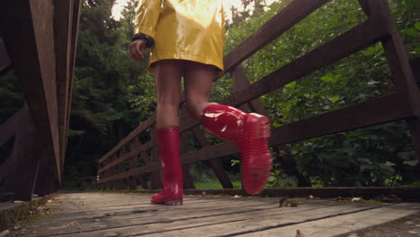 Rear-view-of-brunette-walking-over-wooden-bridge