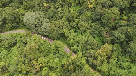 Car-traveling-along-winding-mountain-roads-surrounded-by-lush-jungle-near-Salta,-Argentina