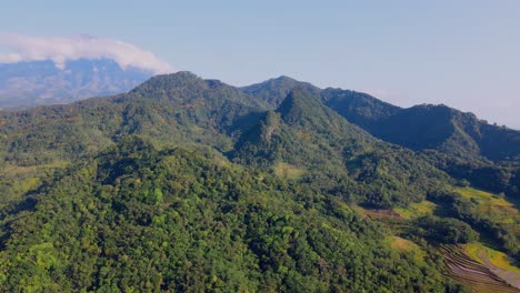 aerial view of forest on hill with plantation with beautiful blue sky