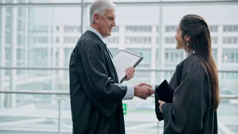 judge team, handshake and office greeting