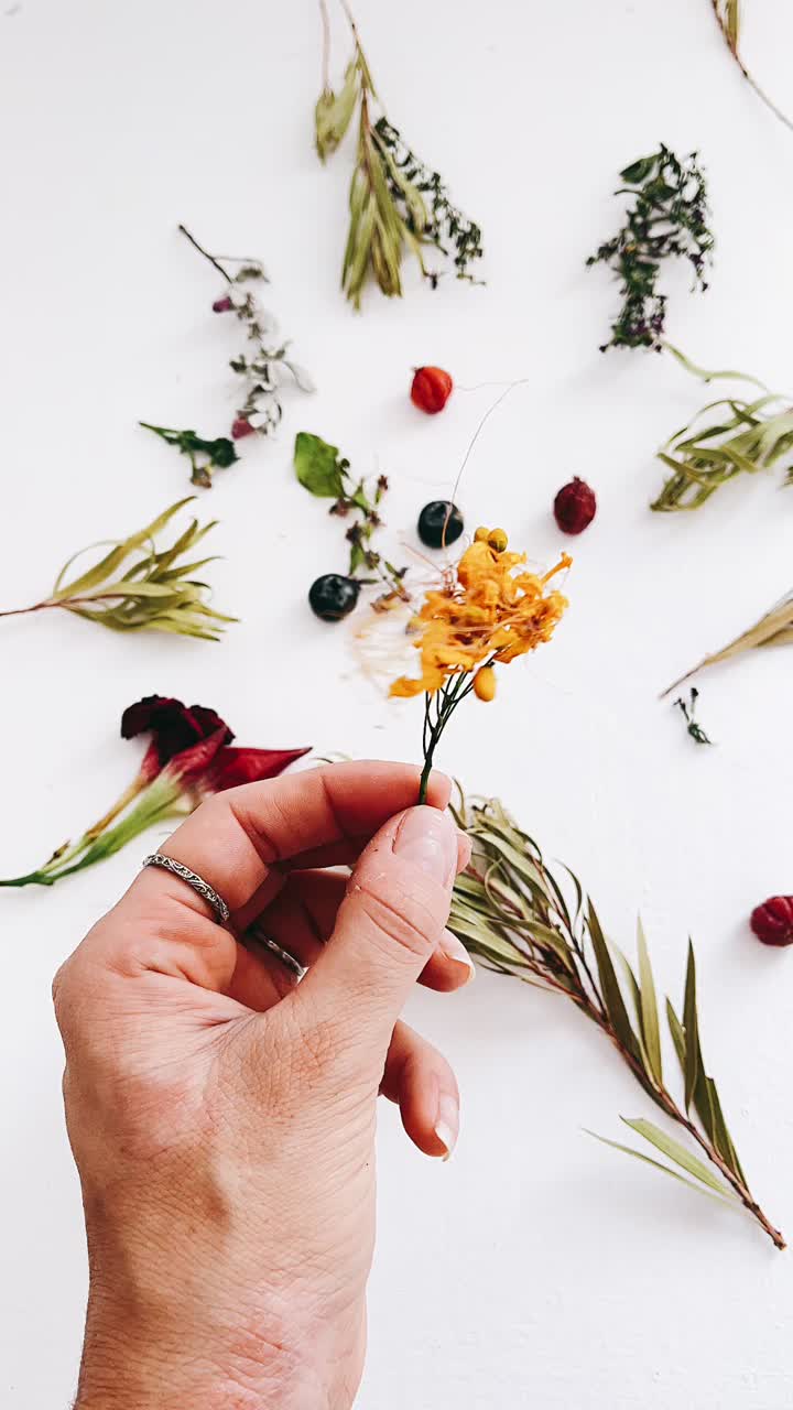 arreglo de flores secas en la mano