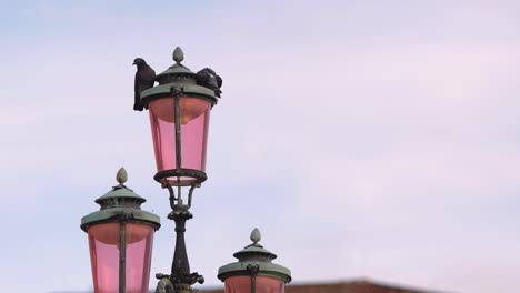 old street lighting pole with two pigeons birds hanging on with blurred blue sky in background