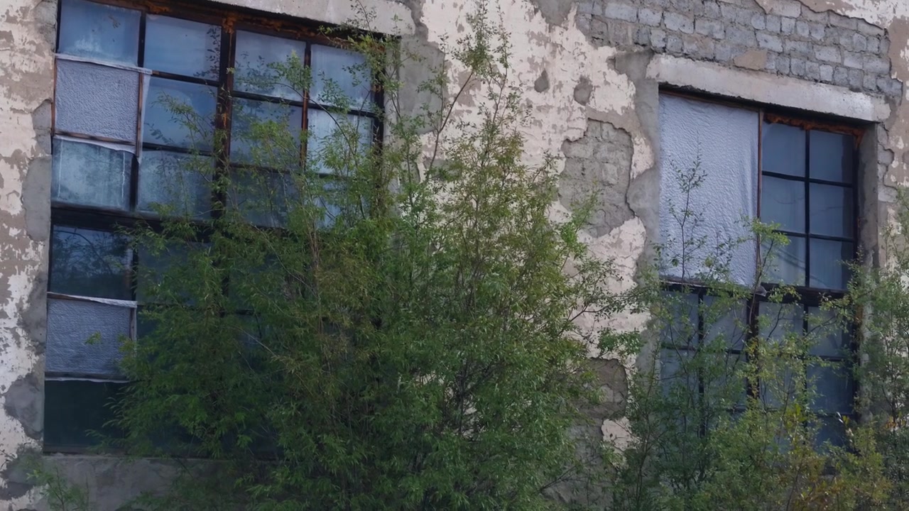 Lenta panoramica su una facciata deteriorata con vernice scrostata e infissi arrugginiti. Rigogliosi cespugli verdi ondeggiano dolcemente, oscurando parzialmente finestre rotte e un telo di plastica traslucido.