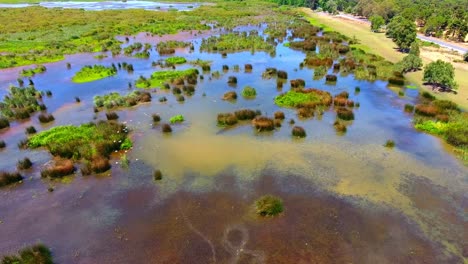 aerial-shot-of-the-wetland--el-kala-Algeria