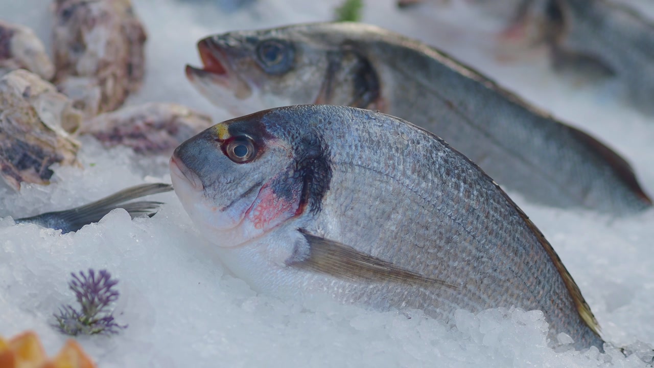 Fresh Sea Bream and Seafood on Crushed Ice Display
