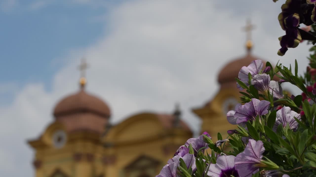 Timfloralis 2019 - Il Festival dei Fiori, Timisoara, Romania.