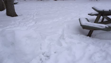 a snowball made by kids near a picnic table recovered by snow