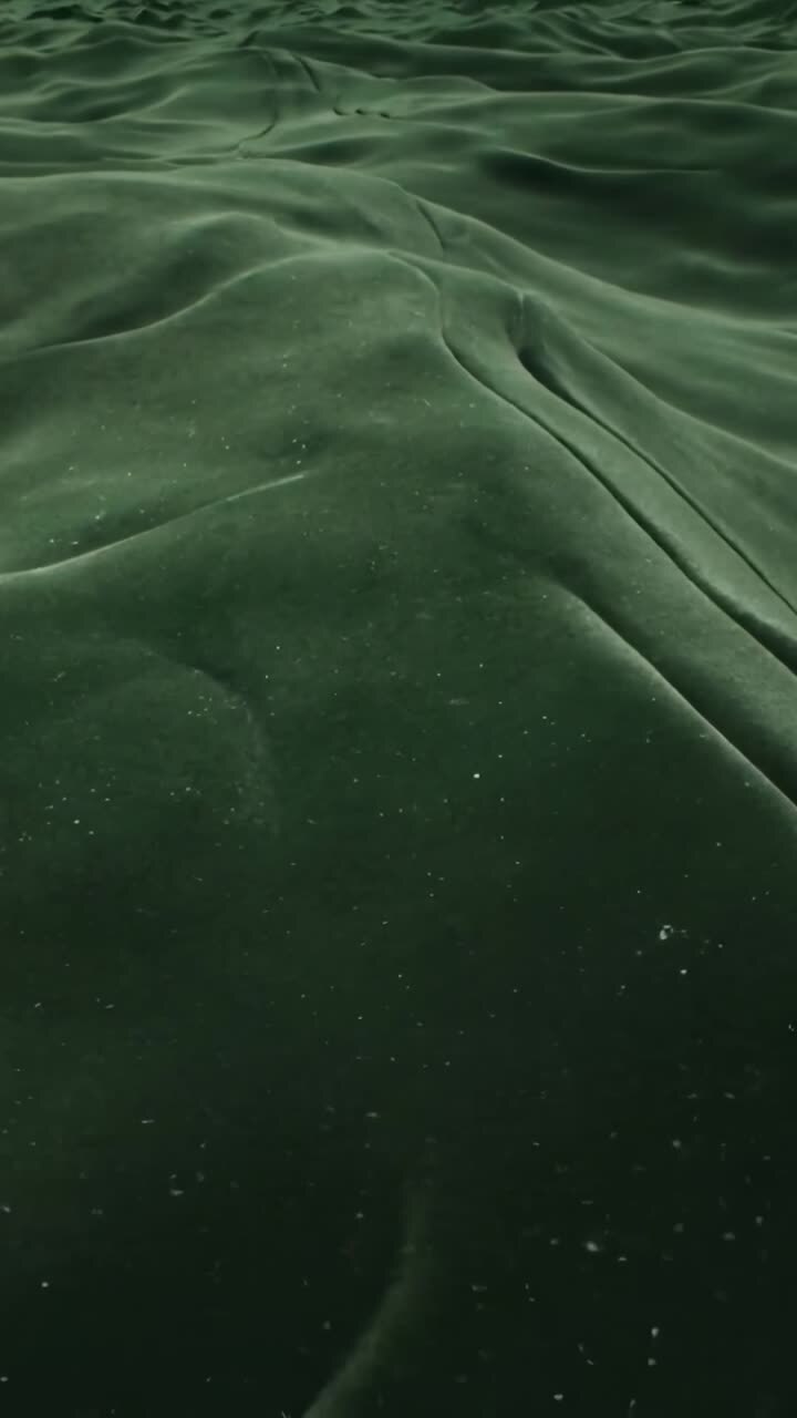 Vertical video: Camera sliding forward revealing dark green velvet cloth in studio, showing specks