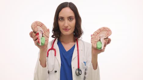 female doctor demonstrating brain anatomy with a model
