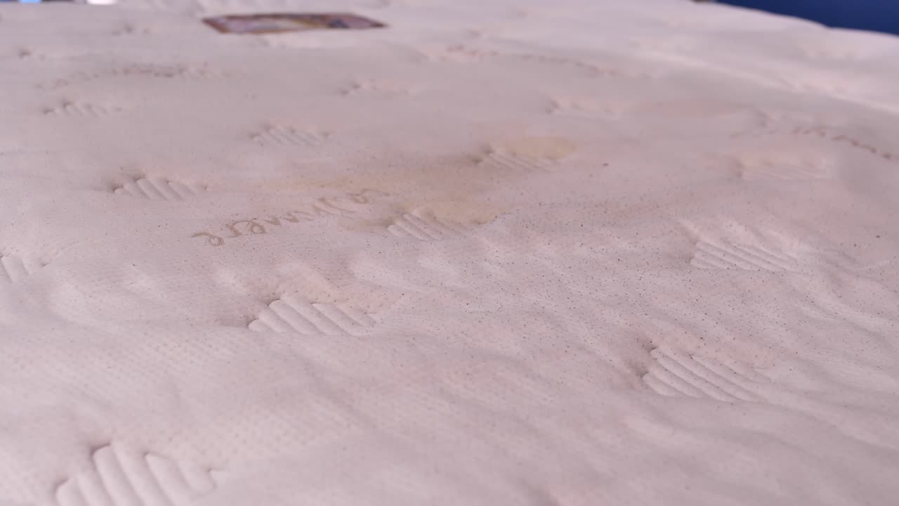 추출 방법을 사용하여 진공 청소기로 매트리스의 화학적 청소, 클로즈업