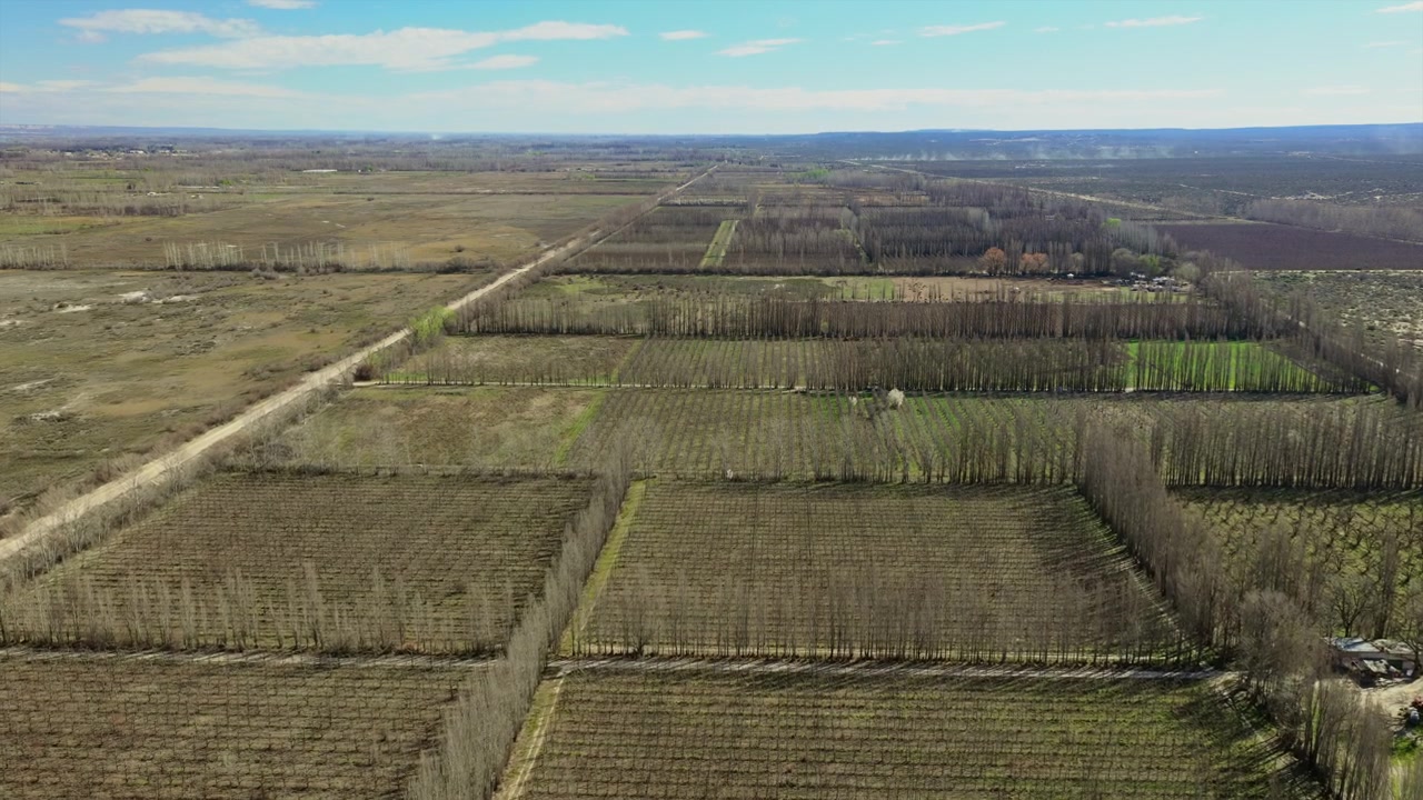 Pemandangan udara barisan kebun anggur yang tertata dan lahan pertanian di Alto Valle, Argentina