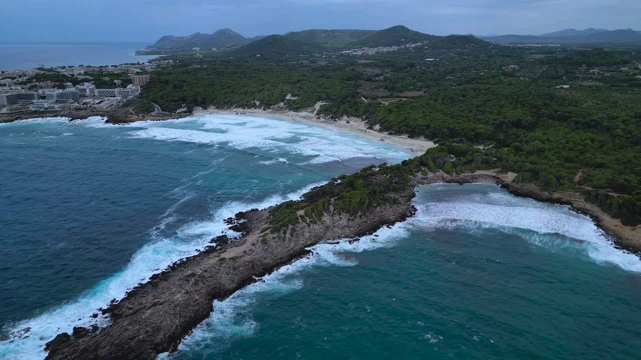 Spectacular drone footage capturing the wide, sandy Cala Agulla beach in Mallorca, backed by a beautiful pine forest